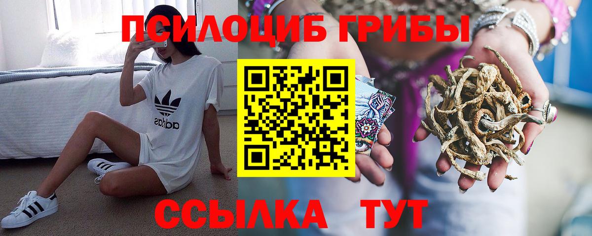 Воронеж  Галлюциногенные грибы прущие грибы  наркота  Вход с VPN 