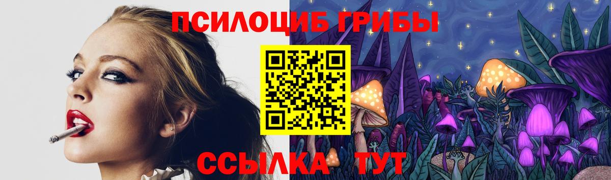 Галлюциногенные грибы Cubensis Воронеж